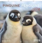 Pinguine 2026 - Broschürenkalender 30x30 cm (30x60 geöffnet) - Kalender mit Platz für Notizen - Penguins - Bildkalender - Wandplaner - Wandkalender Pinguine 2026 - Broschürenkalender 30x30 cm (30x60 geöffnet) - Kalender mit Platz für Notizen - Penguins - Bildkalender - Wandplaner - Wandkalender