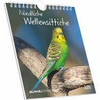 Niedliche Wellensittiche 2026 - Postkartenkalender 16x17 cm - Budgies - zum Aufstellen oder Aufhängen - Monatskalendarium - Gadget - Mitbringsel - Alpha Edition