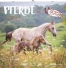 Pferde 2026 - Broschürenkalender 30x30... - Bild 1