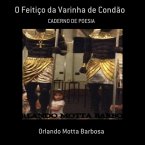 O Feitiço Da Varinha De Condão (eBook, PDF)