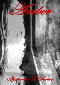 Cover Amber (eBook, PDF)