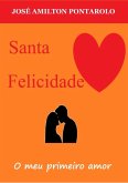 Santa Felicidade (eBook, PDF)