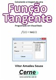 Calculando A Imagem De Uma Função Tangente Programado Em Visual Basic (eBook, PDF)