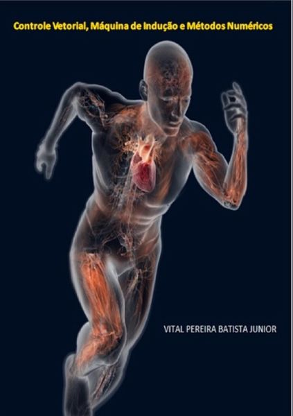 Controle Vetorial, Máquina De Indução E Métodos Numéricos (eBook, PDF)