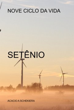 Cover Nove Ciclo Da Vida (eBook, PDF)