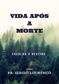 Vida Após A Morte (eBook, PDF)