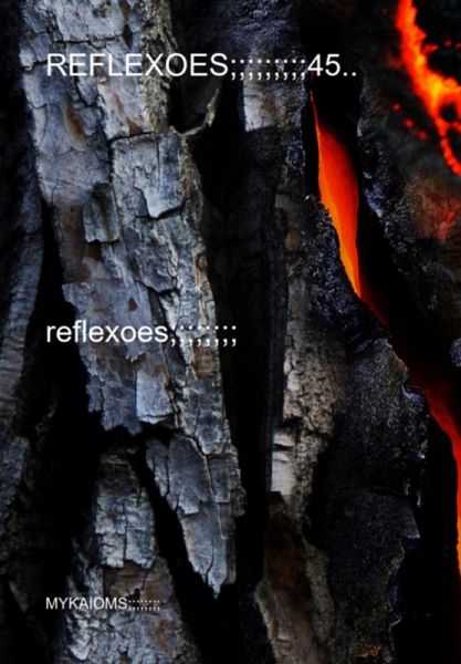 Reflexoes;;;;;;;;;45.. (eBook, PDF)