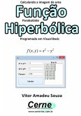 Calculando A Imagem De Uma Função Parabolóide Hiperbólica Programado Em Visual Basic (eBook, PDF)