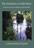 De Mosaico A Indivíduo (eBook, PDF)