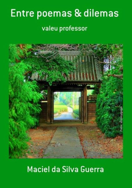 Entre Poemas & Dilemas (eBook, PDF)