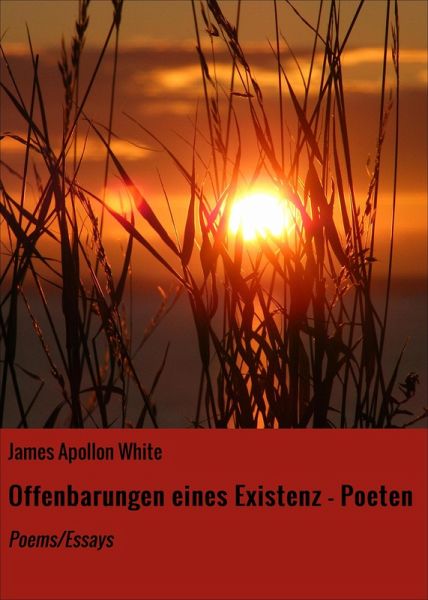 Offenbarungen eines Existenz - Poeten (eBook, ePUB)