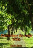 Caminhos De Uma Vida (eBook, PDF)