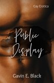 Public Display: Gay Erotica (eBook, ePUB) Public Display: Gay Erotica (eBook, ePUB)