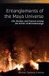 Entanglements of the Maya Universe... - Bild 1