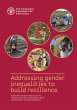 Addressing Gender Inequalities to Build... - Bild 1