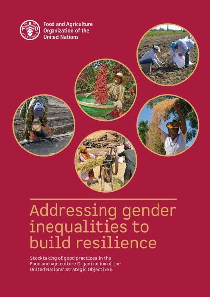 Addressing Gender Inequalities to Build Resilience: Stocktaking of Good Practices in the Food and Agriculture Organization of the United Nations' Strategic Objective 5 (eBook, ePUB)