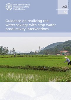 Cover Guidance on Realizing Real Water Savings with Crop Water Productivity Interventions (eBook, ePUB)