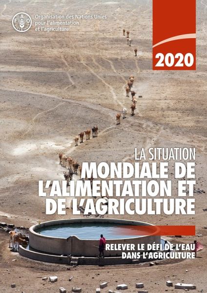 La situation mondiale de l'alimentation et de l'agriculture 2020: Relever le défi de l'eau dans l'agriculture (eBook, ePUB) La situation mondiale de l'alimentation et de l'agriculture 2020: Relever le défi de l'eau dans l'agriculture (eBook, ePUB)
