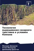 Tehnologiq wyraschiwaniq saharnogo trostnika w uslowiqh Konkana