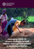 Leveraging Covid-19 Recovery Strategies to Build Climate-Smart Agrifood Systems in Developing Countries (eBook, ePUB) Leveraging Covid-19 Recovery Strategies to Build Climate-Smart Agrifood Systems in Developing Countries (eBook, ePUB)