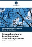 Schwachstellen im brasilianischen Strafvollzugssystem