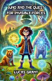 Juno and the Quest for Invisible Forces (eBook, ePUB)