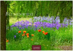 Cover Blumenwiese Kalender 2026 - Wandkalender   Fotokalender Naturkalender 35x50cm   Wunderschöne Fotos der blühenden Natur