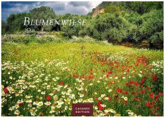 Cover Blumenwiese Kalender 2026 - Wandkalender   Fotokalender Naturkalender 24x35cm   Wunderschöne Fotos der blühenden Natur