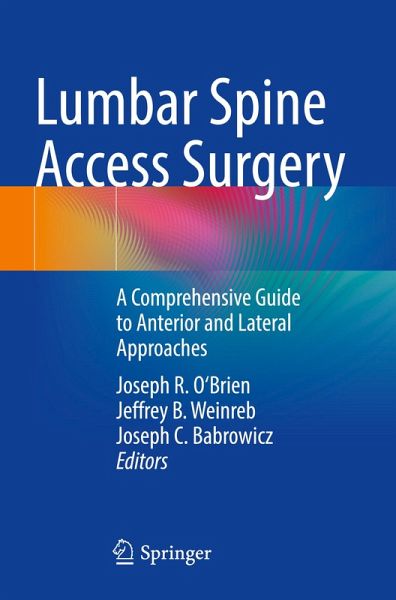 Lumbar Spine Access Surgery Lumbar Spine Access Surgery
