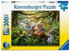 Cover Wildnis Wunder