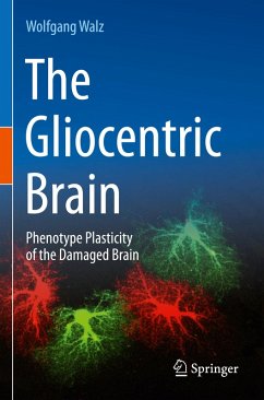 Cover The Gliocentric Brain