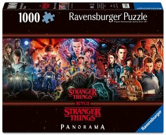 Cover Stranger Things - Wir sehen uns auf der anderen Seite