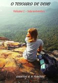 O Tesouro De Deus (eBook, PDF)