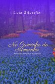 No Caminho Do Amanhã (eBook, ePUB)