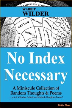 Cover No Index Necessary (eBook, ePUB)