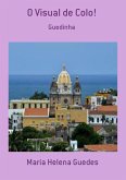 O Visual De Colo! (eBook, PDF)