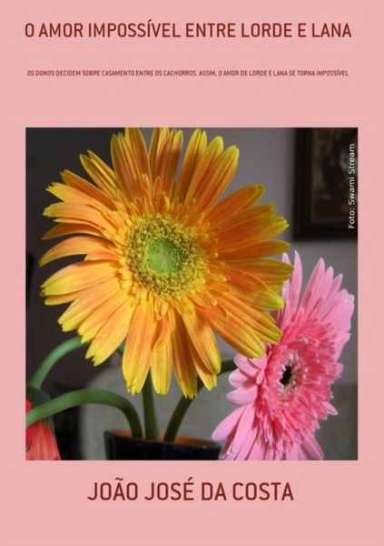 O Amor Impossível Entre Lorde E Lana (eBook, PDF) O Amor Impossível Entre Lorde E Lana (eBook, PDF)