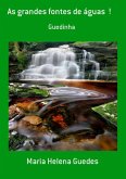 As Grandes Fontes De Águas ! (eBook, PDF)