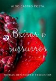 Brisas E Sussurros (eBook, PDF)
