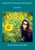 As Grandes Plantações De Girassol ! (eBook, PDF)