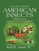 American Insects (eBook, ePUB) American Insects (eBook, ePUB)