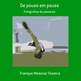 De Pouso Em Pouso (eBook, PDF)