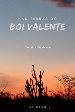 Cover Nas Terras Do Boi Valente (eBook, PDF)
