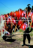 Dendeicultura E Comunidades Camponesas Da Amazônia Paraense (eBook, PDF) Dendeicultura E Comunidades Camponesas Da Amazônia Paraense (eBook, PDF)