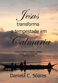 Jesus Transforma A Tempestade Em Calmaria (eBook, PDF)