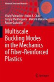 Multiscale Buckling Modes in the Mechanics of Fiber-Reinforced Plastics