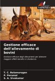 Gestione efficace dell'allevamento di bovini Gestione efficace dell'allevamento di bovini