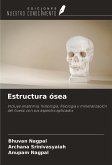 Estructura ósea Estructura ósea