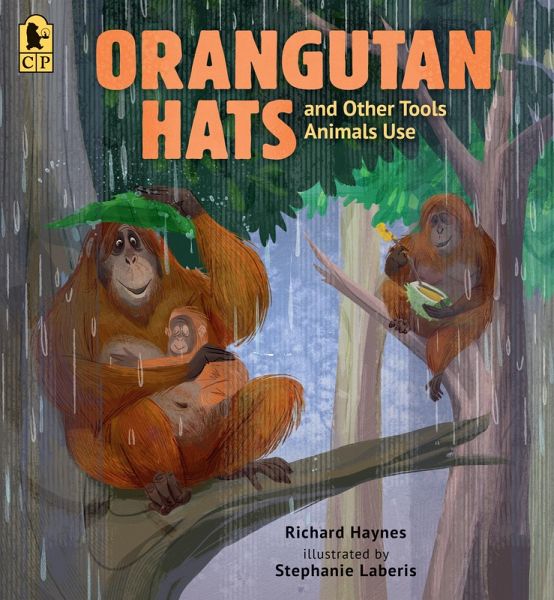 Orangutan Hats and Other Tools Animals Use Orangutan Hats and Other Tools Animals Use