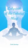 Labyrinth of the Celestial Mind